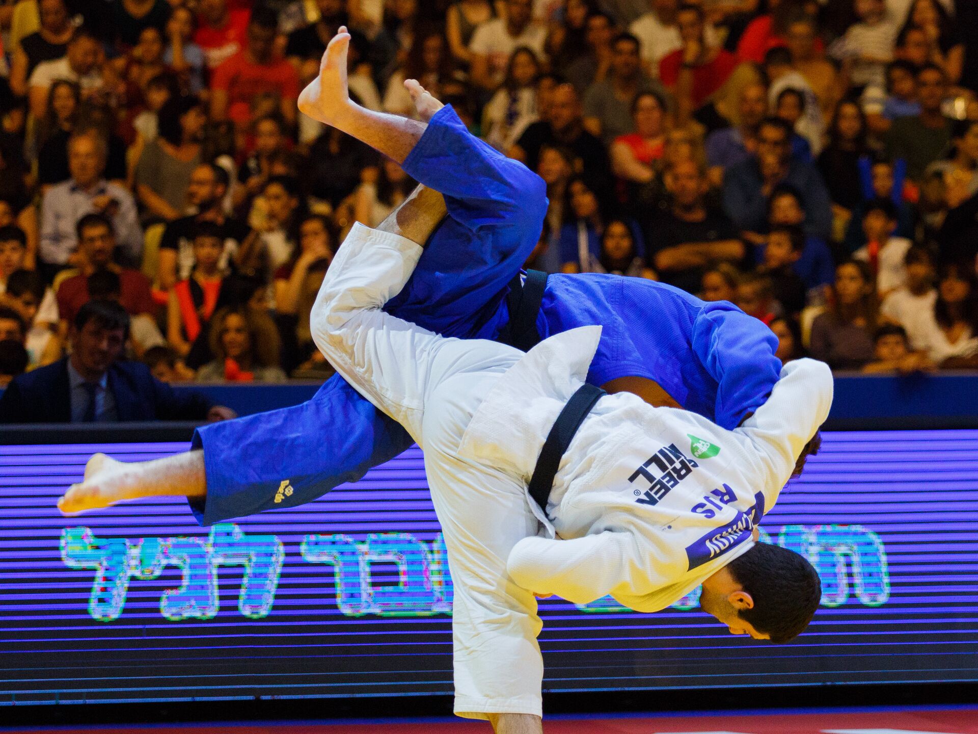 Астанада күресетіндер анықталды