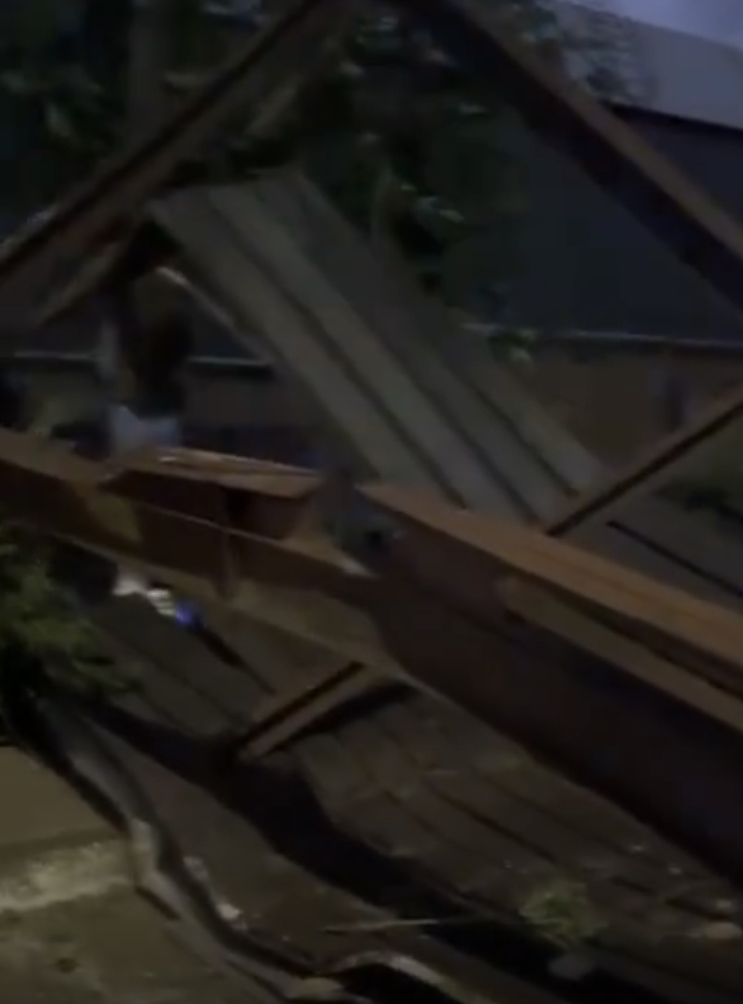 Балқашта былтыр салынған шатырлардың жұлынған видеосы тарады