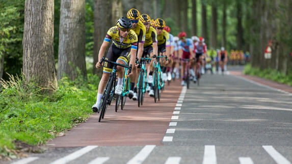 Қызғалдақтар еліндегі жарыс