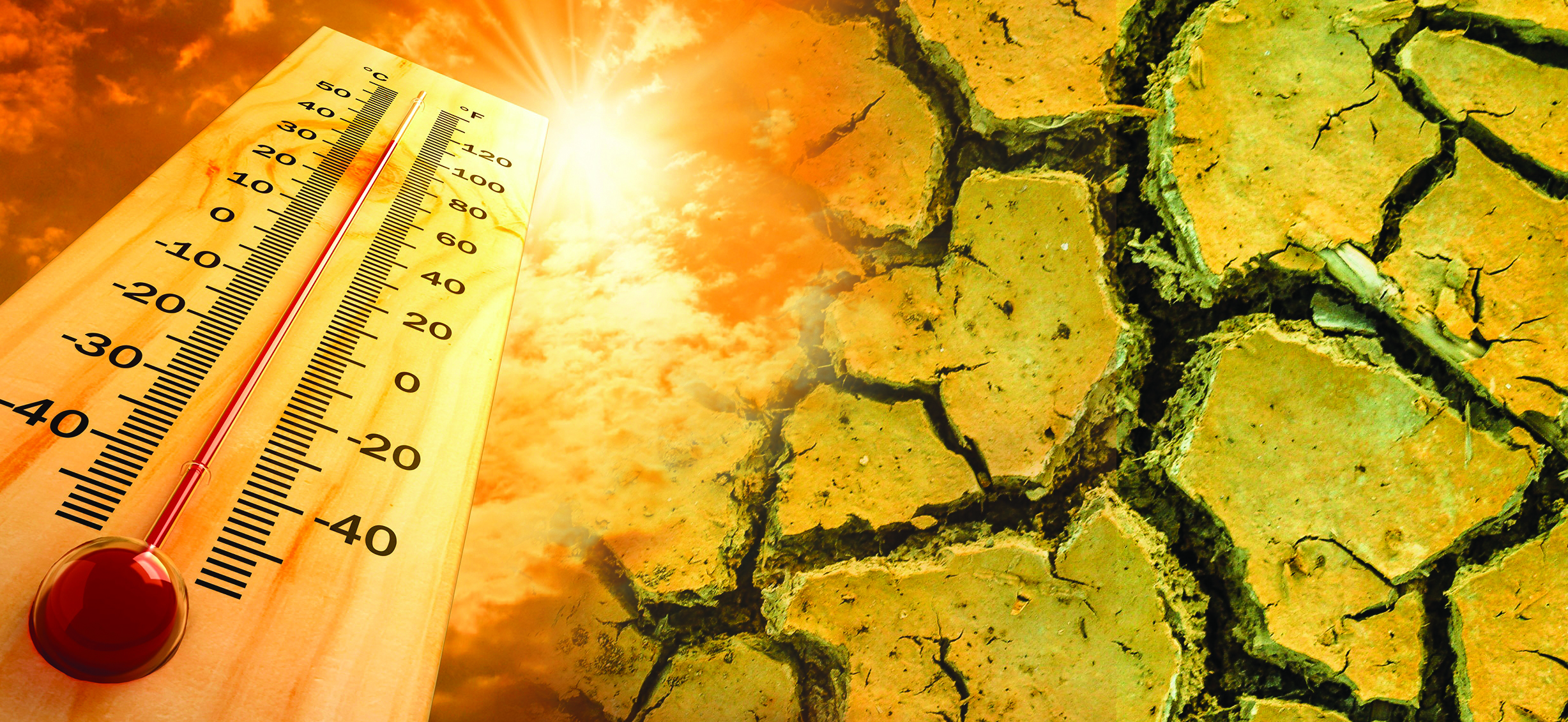 Апшыны қуырған аптап ыстық: Оның салдары қуаңшылық әкелмесе игі