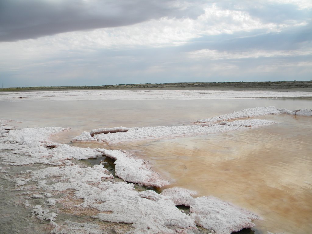 Тұзды сор қашан құрғатылады?