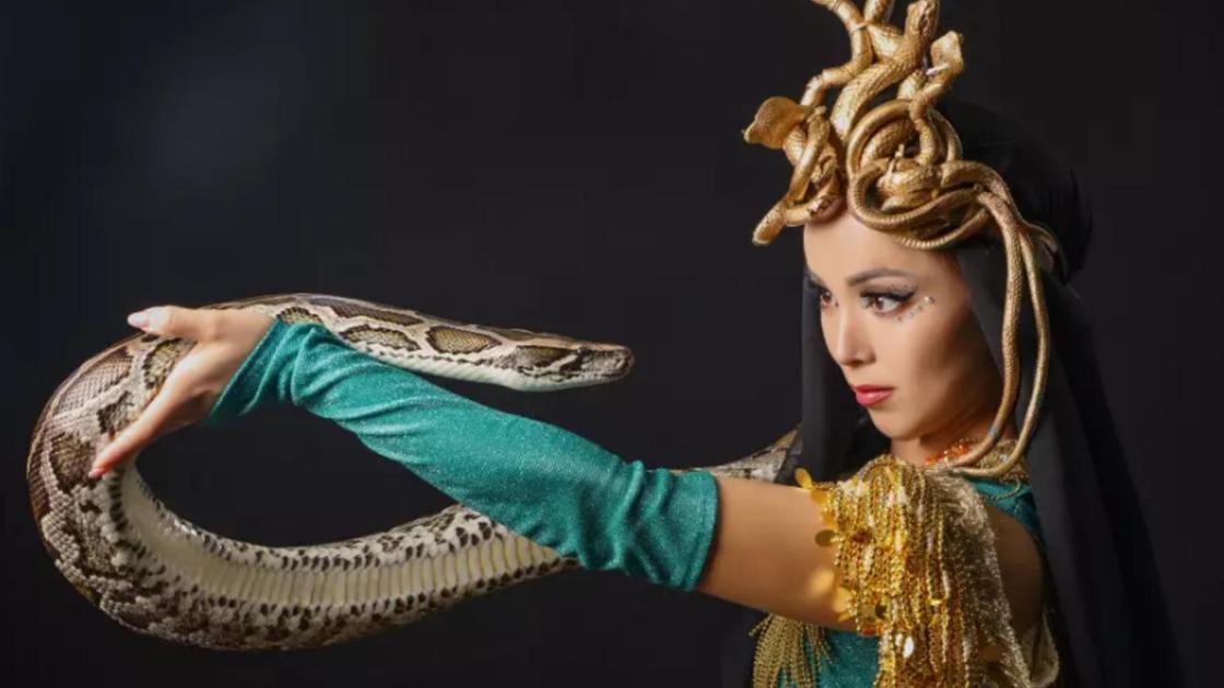 Жыланды билеткен Салтанат