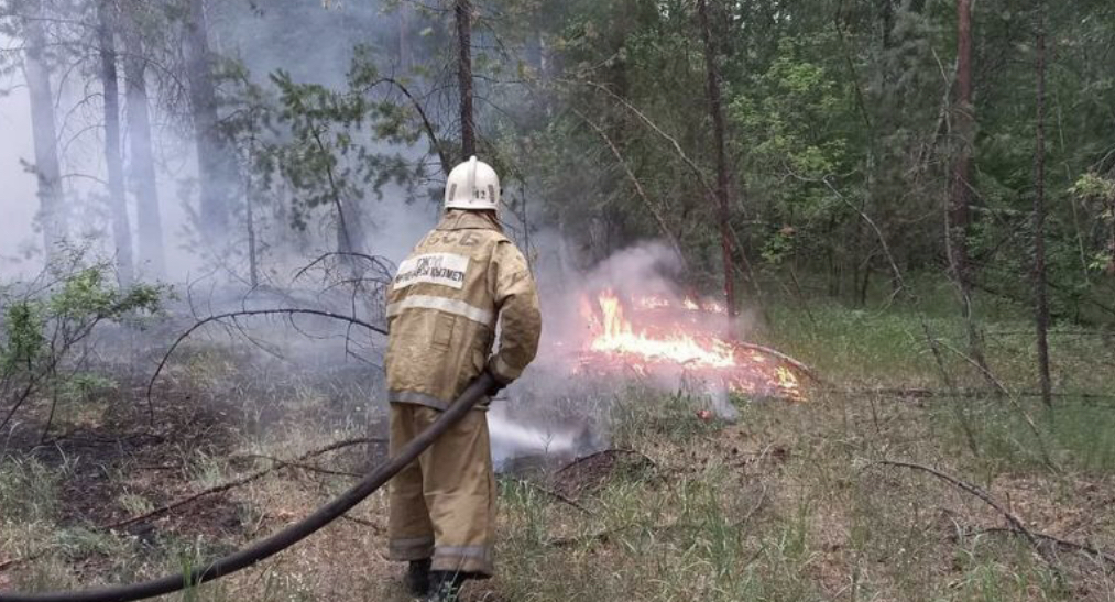 Абай облысындағы алапат өрт кезінде опат болғандардың есімдері анықталды