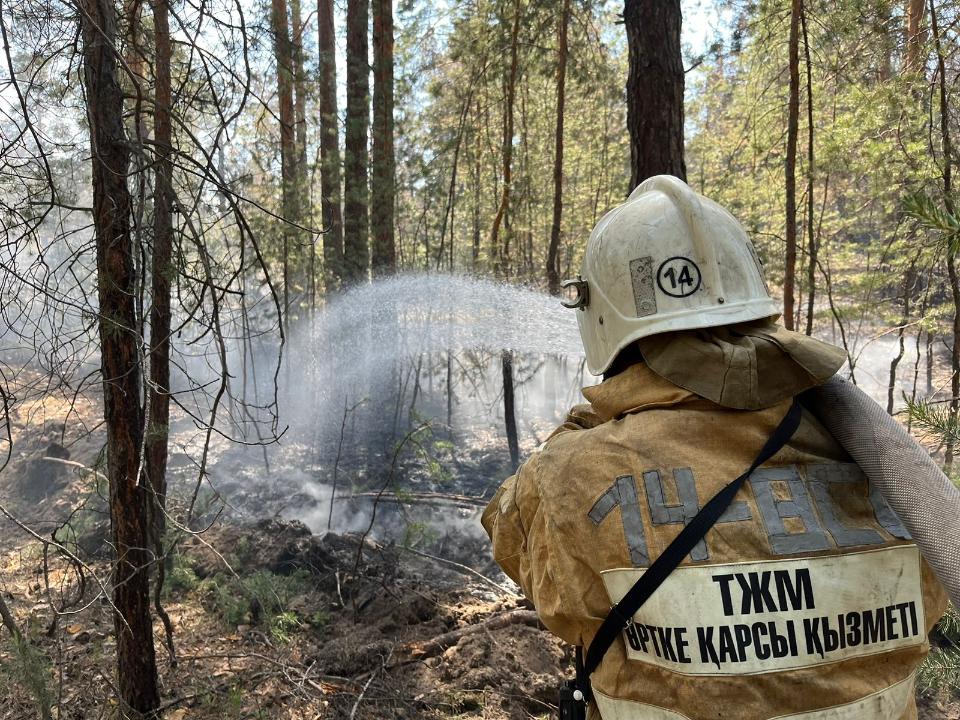 Абай облысындағы өртті сөндіруге 1500-ден астам адам жұмылдырылды