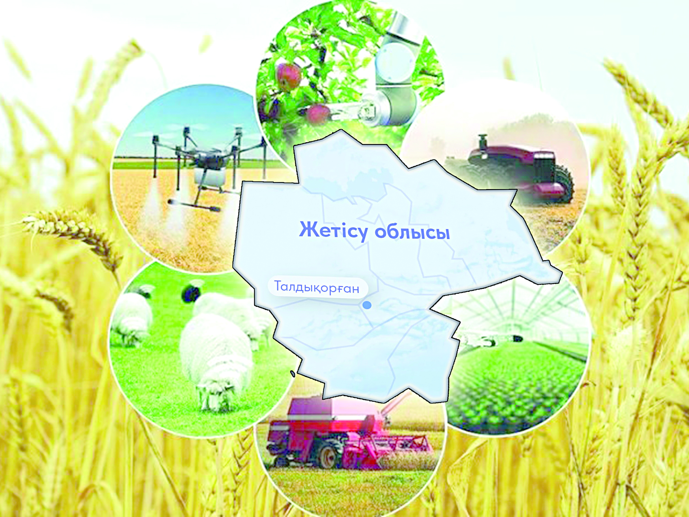 Ауылды қайтсек көркейтеміз?