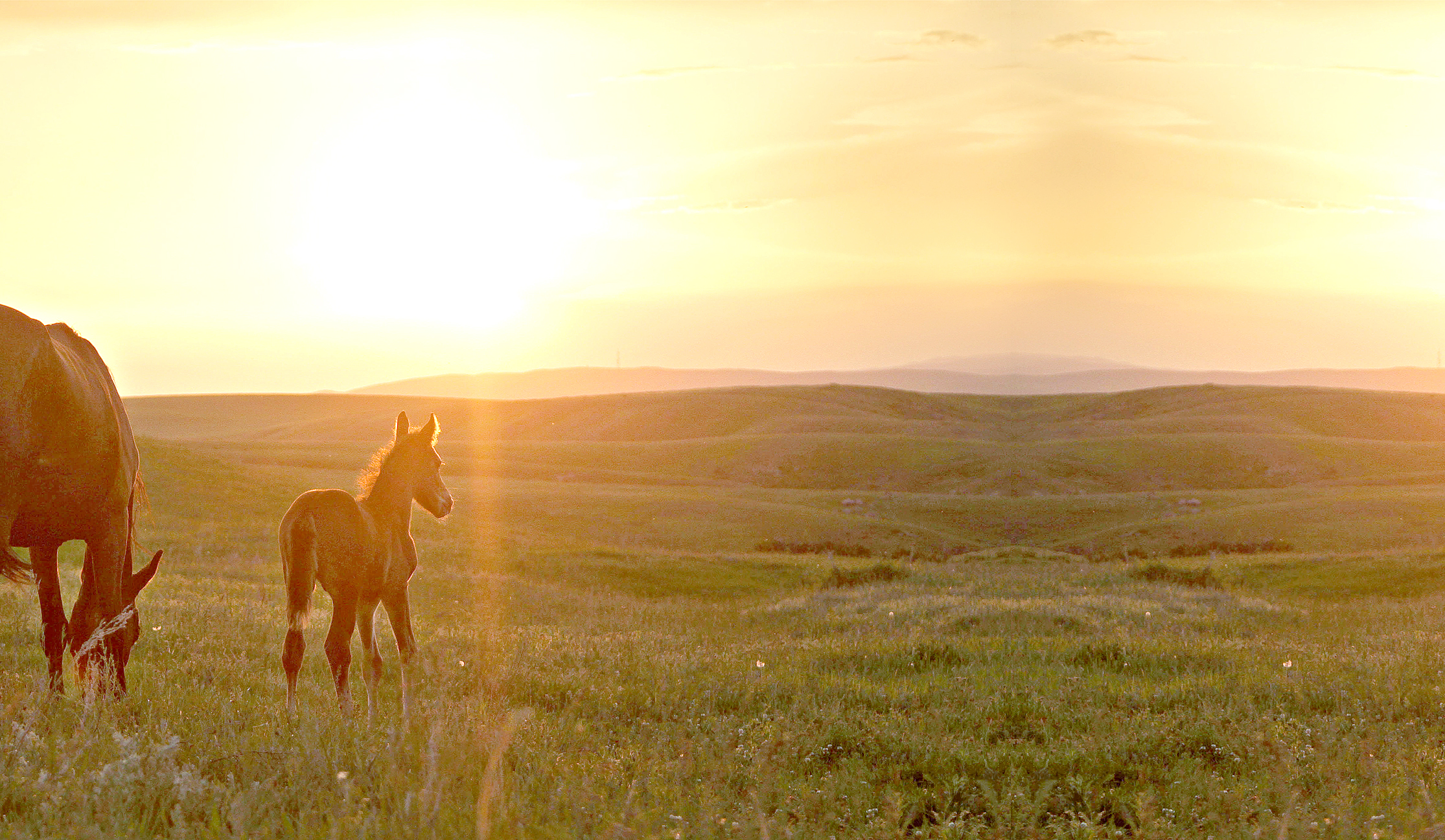 Қара жерге халық ие