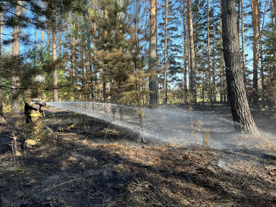 Абай облысының ТЖ департаменті қазіргі жағдайды баяндады