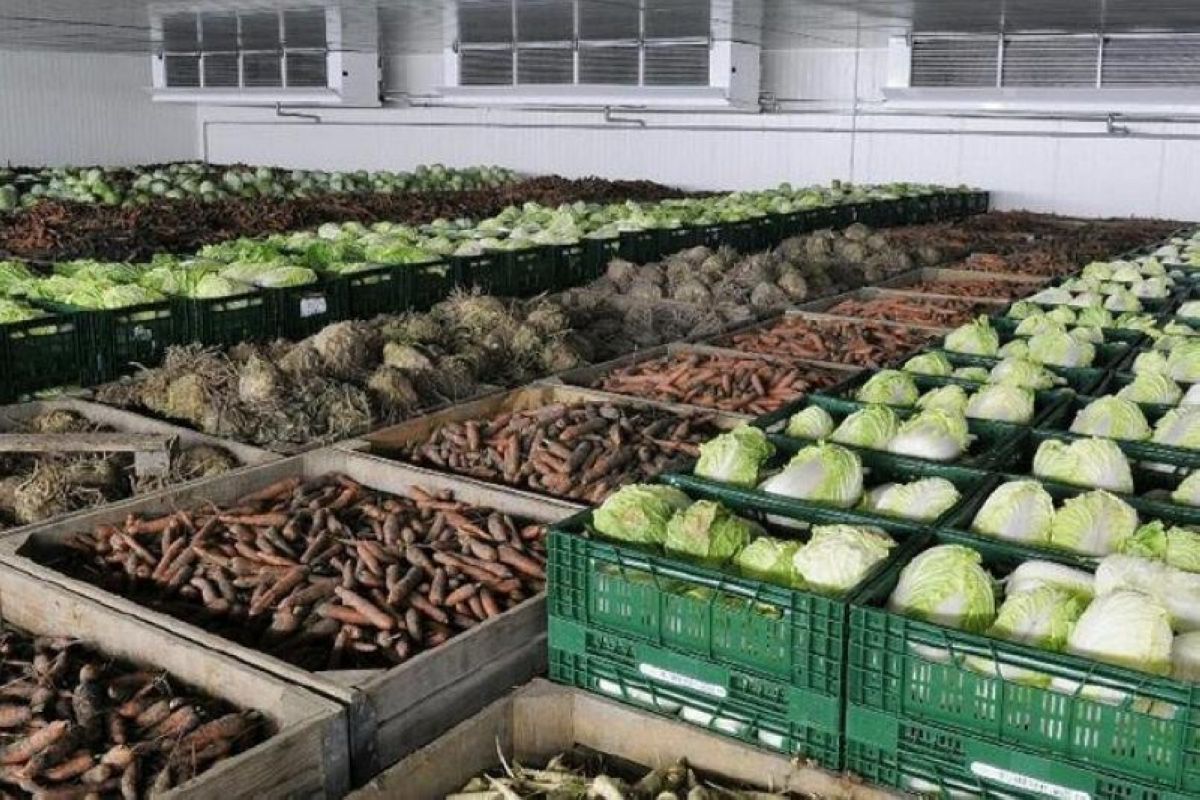 Қолда бар қоймалар кәдеге жарап тұр ма?