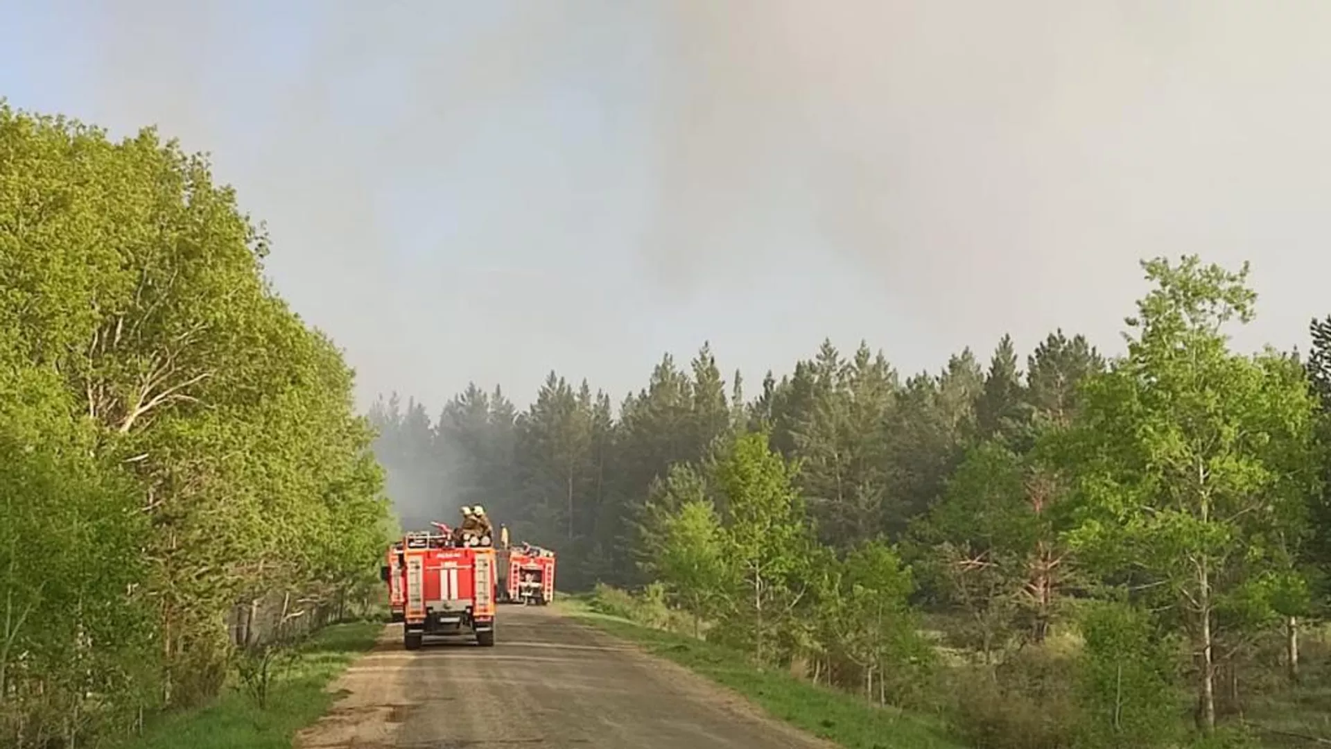 Катонқарағай ұлттық табиғи паркіндегі өрт сөндірілді