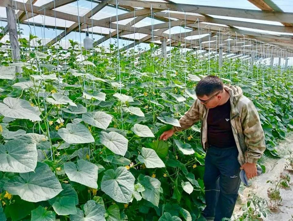 Аралдықтардың алғашқы өнімі