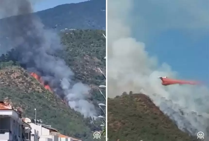 Түркияда курорт маңындағы орман өртенді