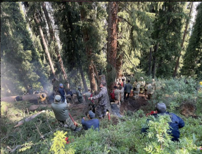 Өрт сөндірушілер Көлсай көлдеріндегі өртті жедел оқшаулады