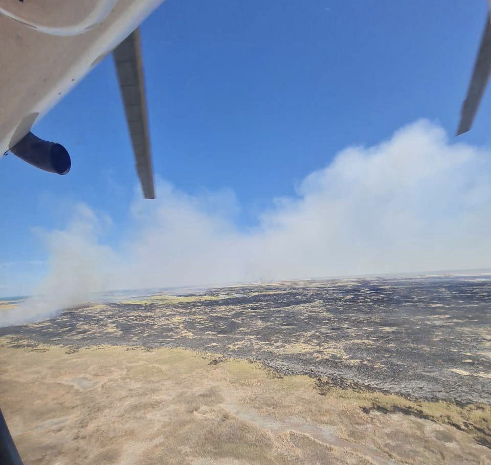 Алматыда қамыс өртеніп жатыр