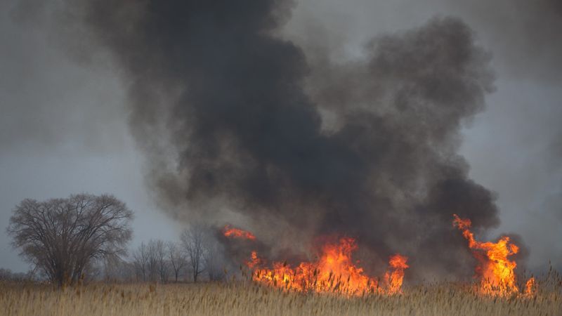 Алматы облысындағы қамыс өртіне тікұшақ жұмылдырылды