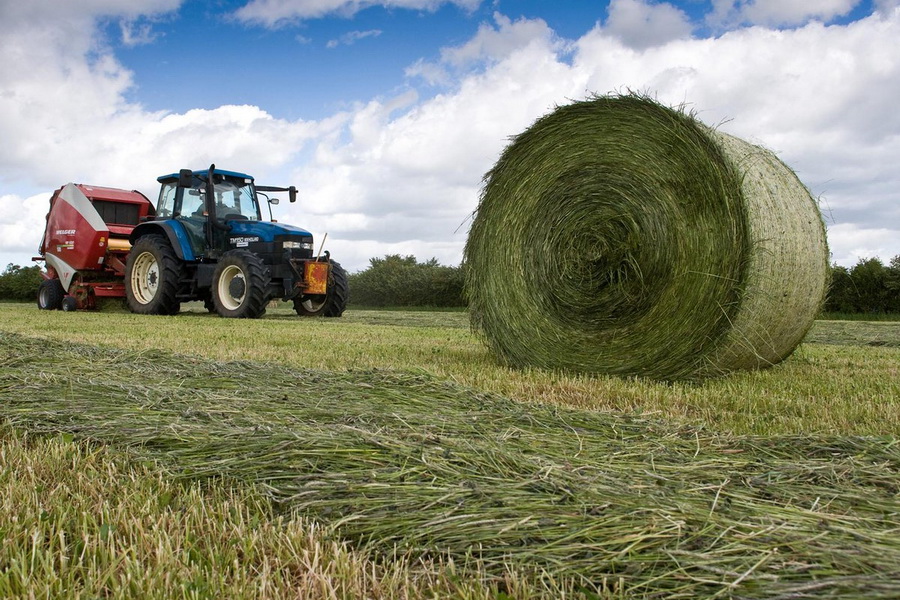 Шөп ору науқаны қыза түсті