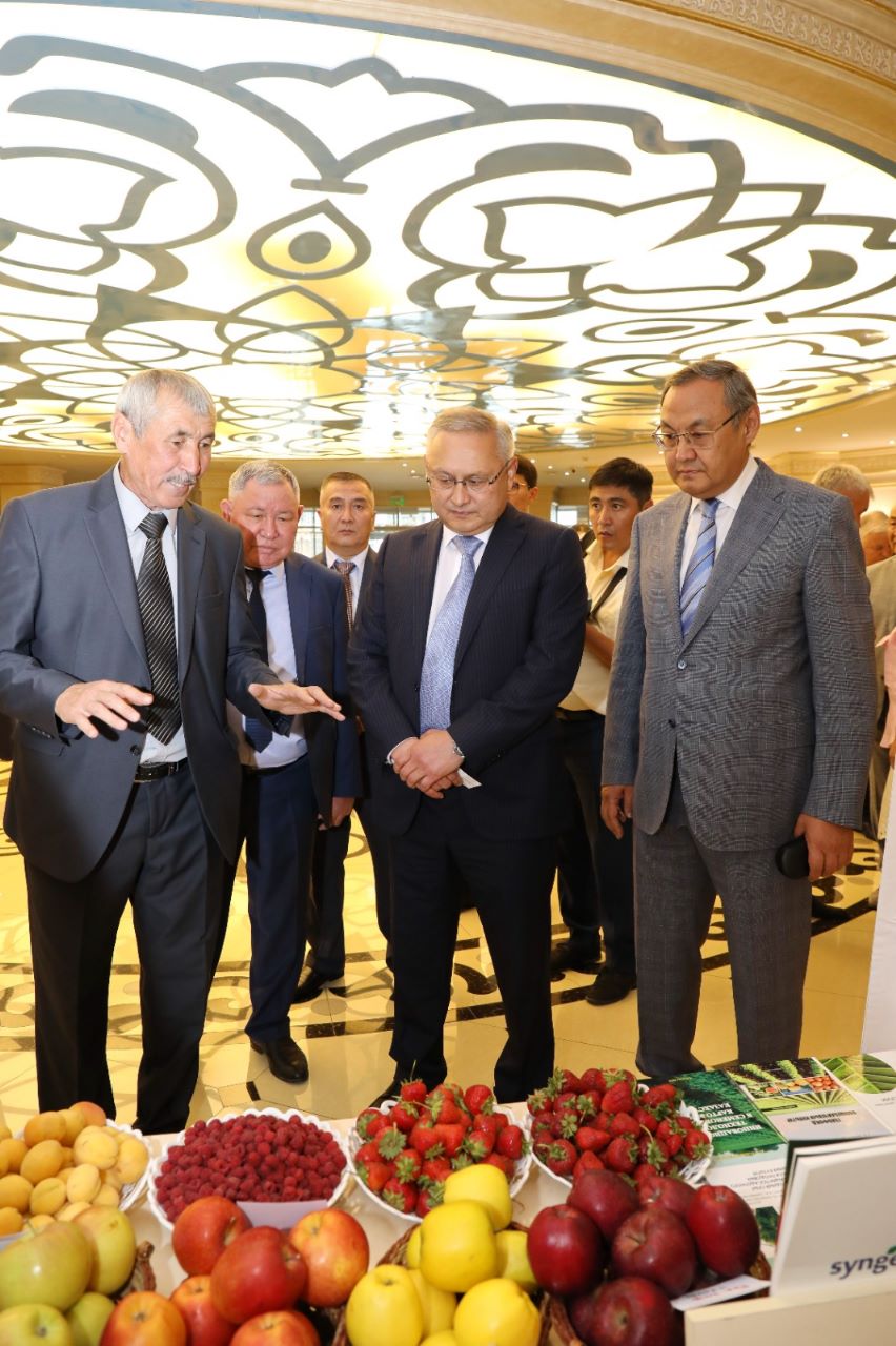 Тұқым өндірісіне жүйелі көзқарас қажет