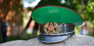 Жасыл күн қағарлы қария