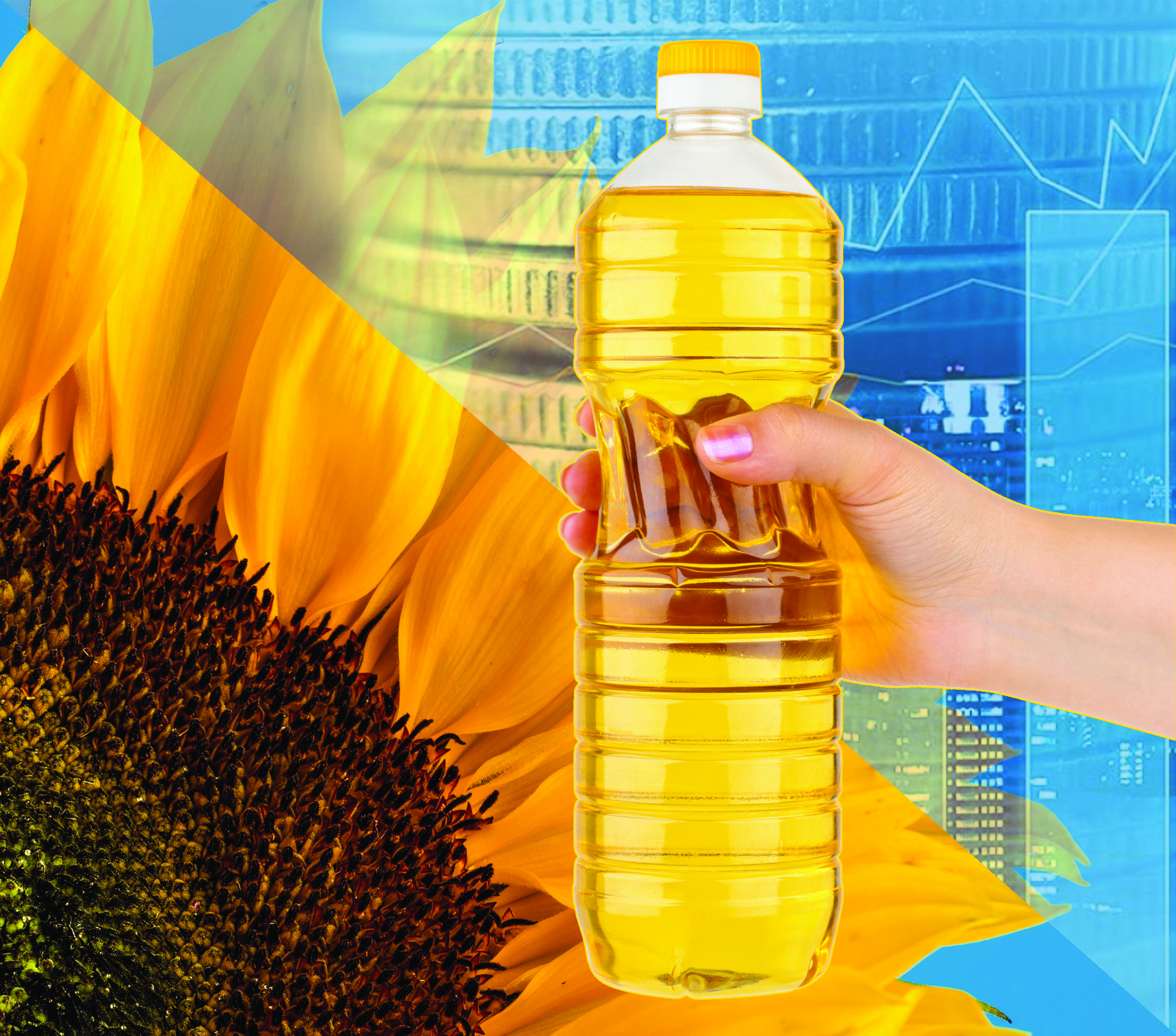 Қор болған мол өнім