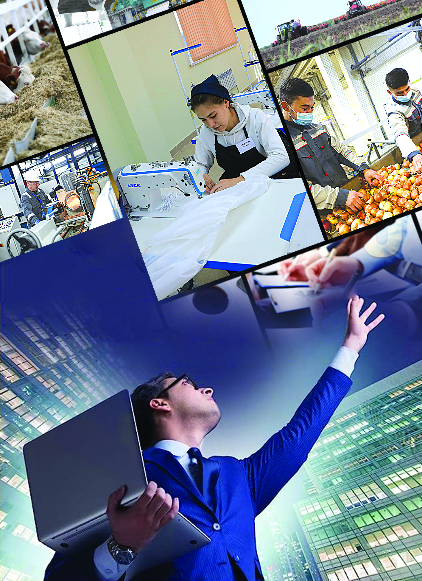 Шағын бизнестің ауқымды мәселелері