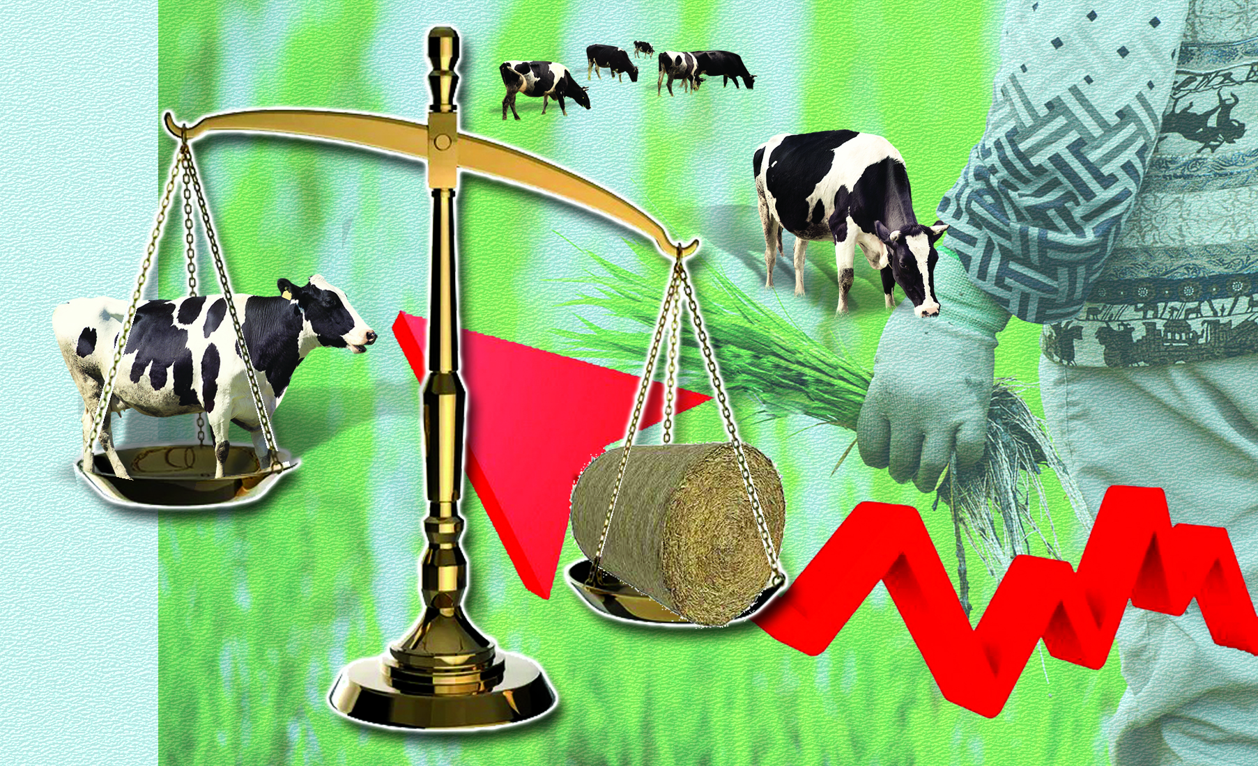 Мал арзан, шөп қымбат