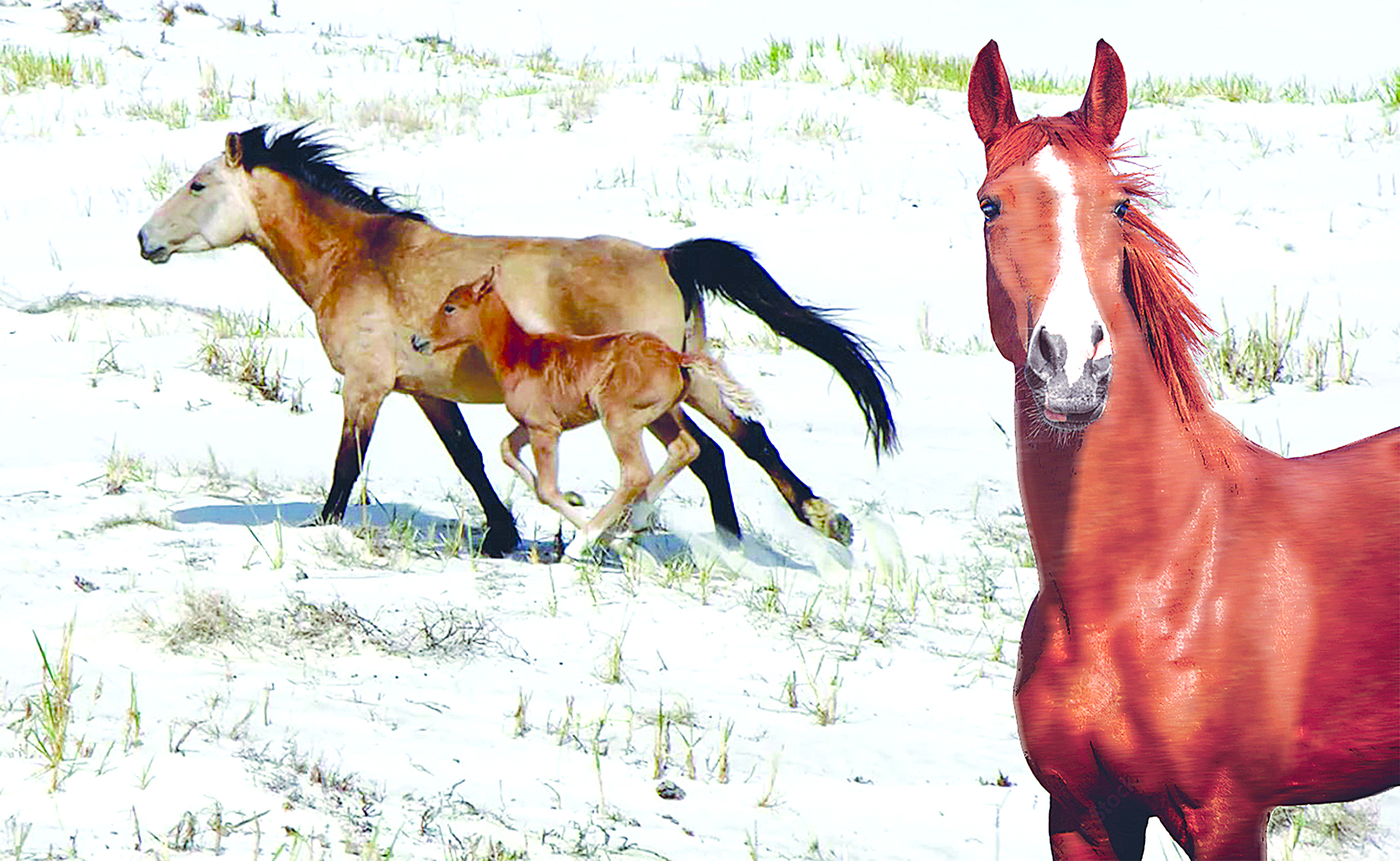 Мінуге керек қазанат...