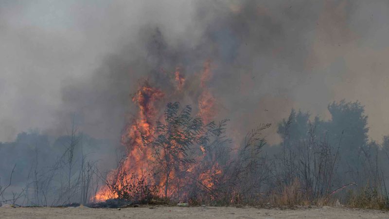 Шығыс Қазақстанның таулы жерінде тұтанған өрт оқшауланды