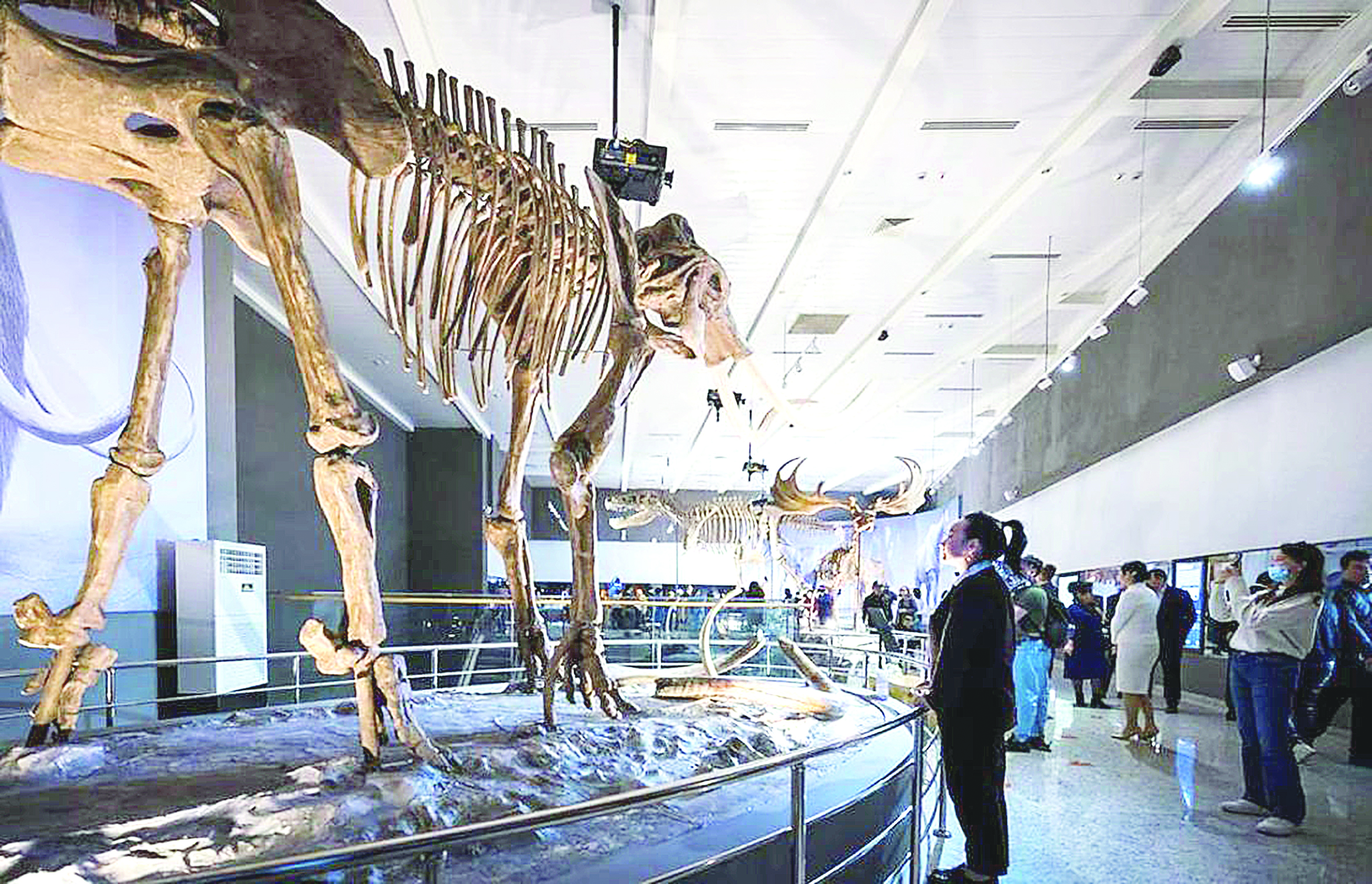 Ұлттық музейді 310 мың адам тамашалаған