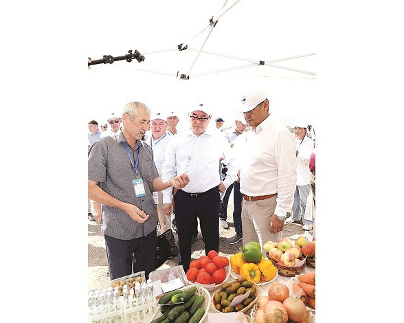 Ел ырысы – егінде