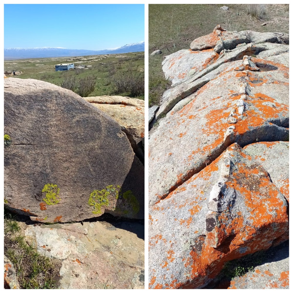 Жетісу құндылықтарын бағалауға ынта керек