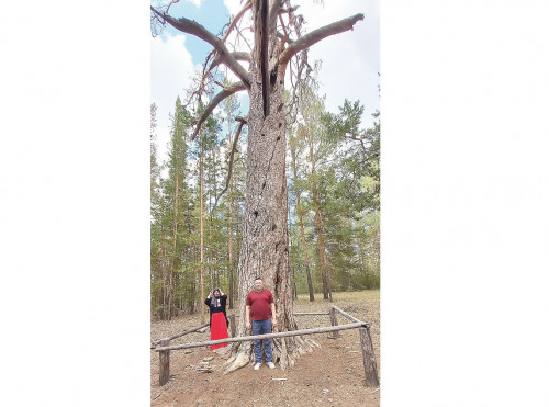 «Орман батыры» тілегіңді орындайды