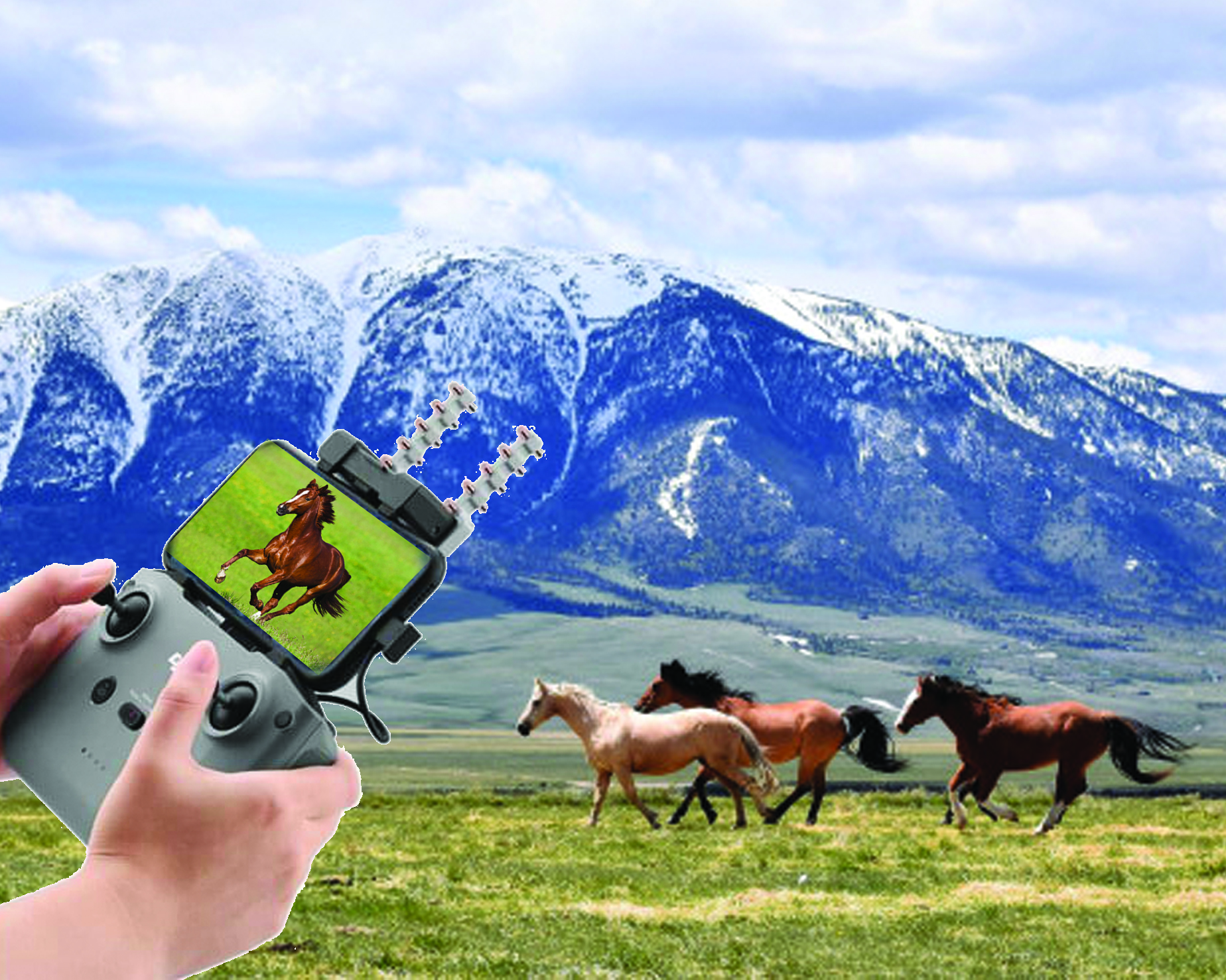 Мал шаруашылығын басқарудың оңтайлы жолы