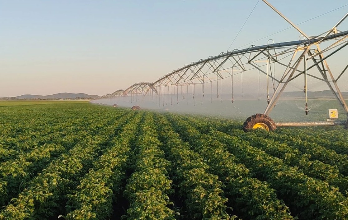 Суармалы егістің ризығы мол