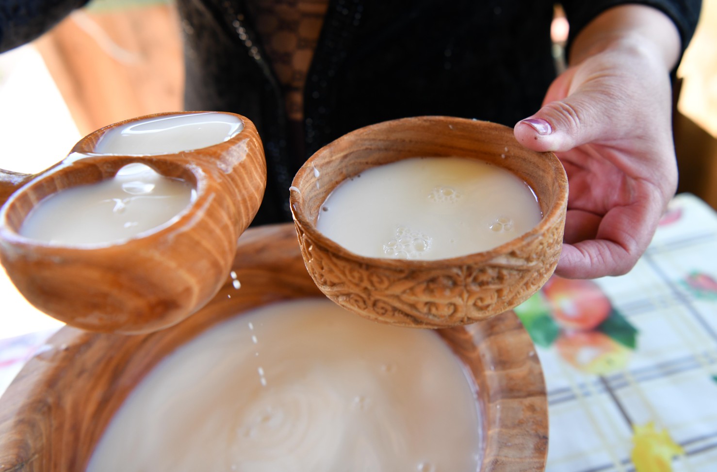 Бие сүтінің шипалық қасиетін зерделеген