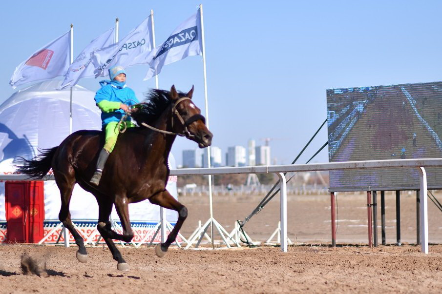 Жүген мен жігер