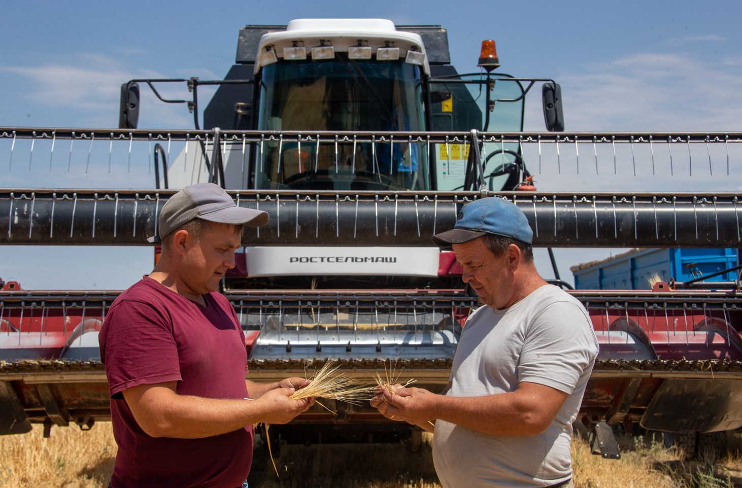 Егін бітік шықса, ел риза