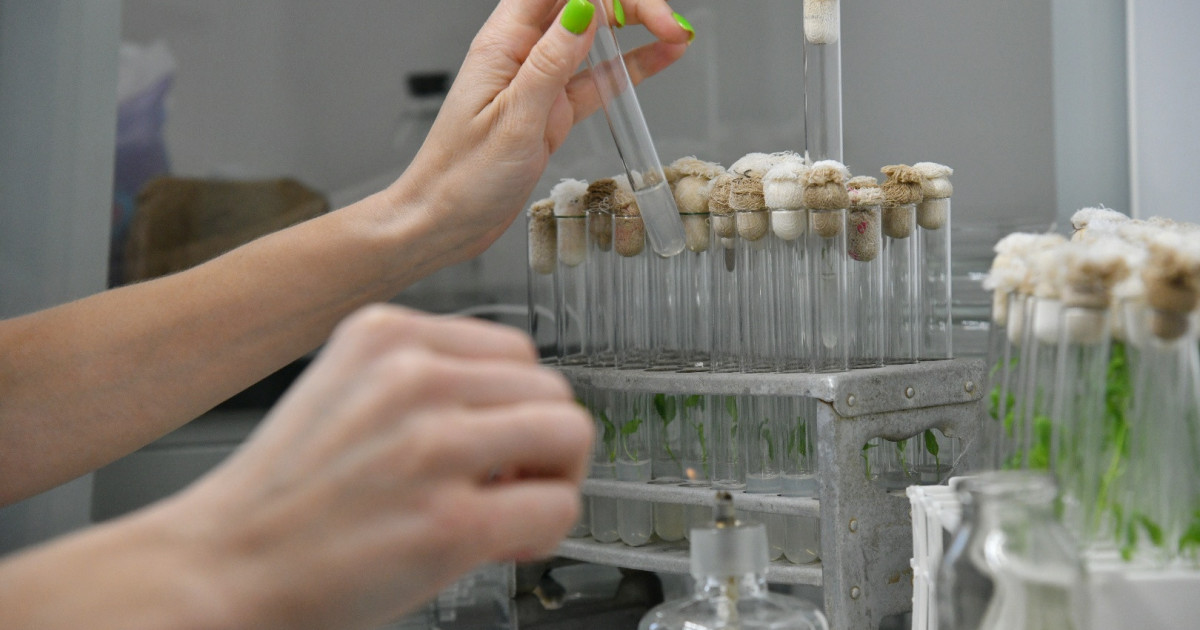 Агроғылымды нақты қолдау жеміс береді