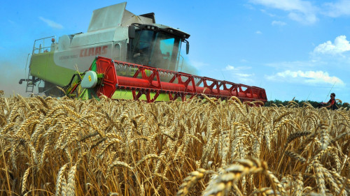 Жиын-терімнің жоспары қомақты