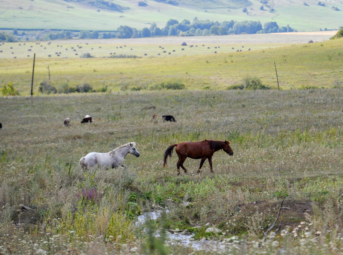 Иесіз жер болмайды