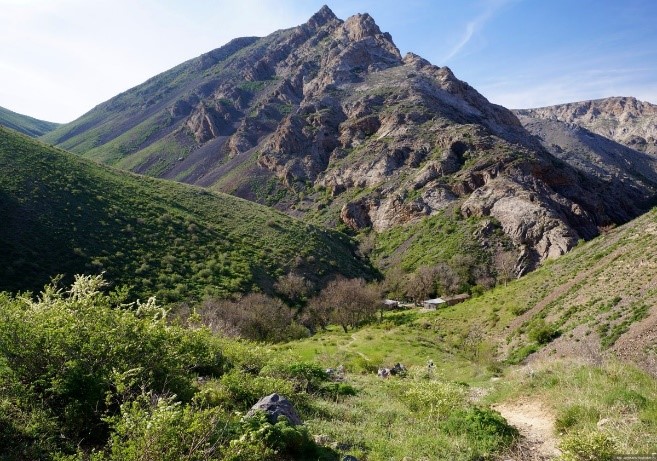 Көсегенің Көкжоны