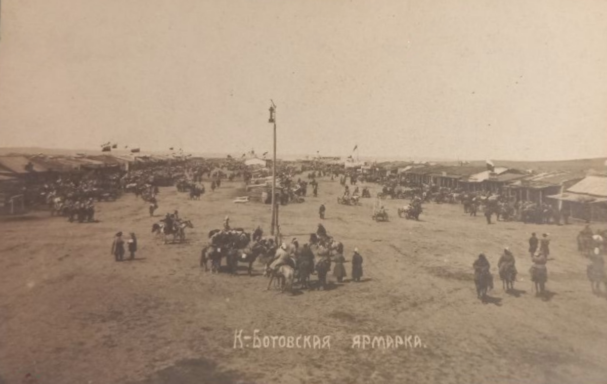 Қоянды жәрмеңкесі: күнгейі мен көлеңкесі