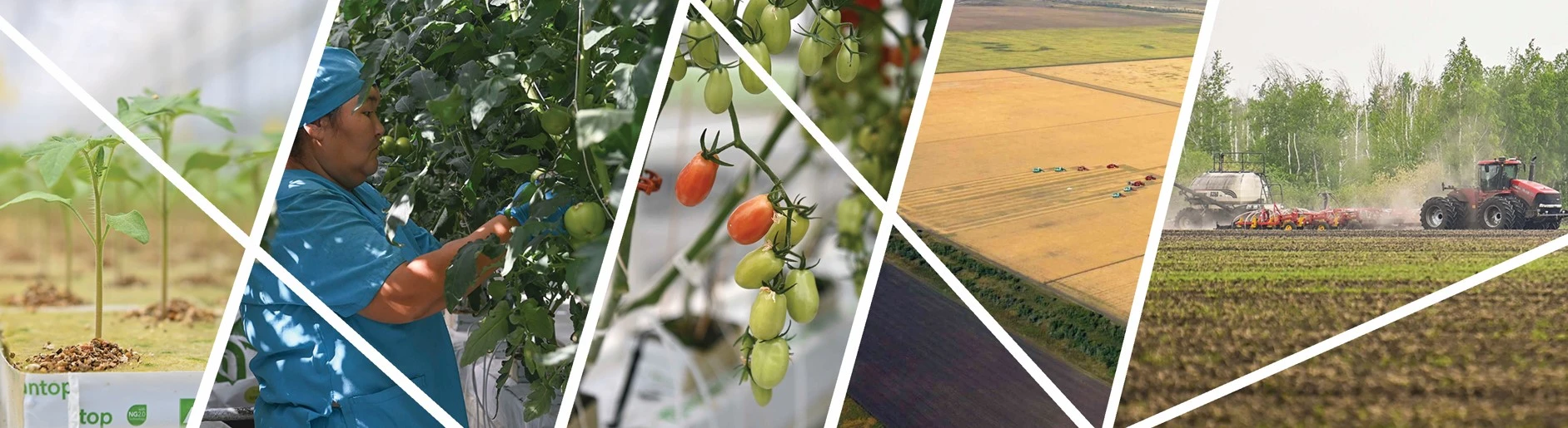 Агроғылым бизнестің әлеуметтік жүктемесіне айналса...