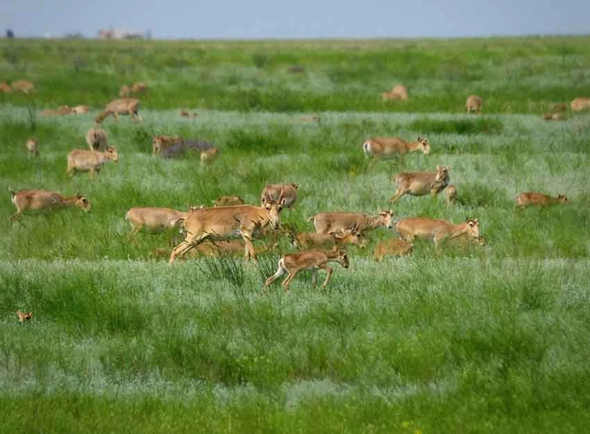 Мәселенің шешімін күтіп отырмыз