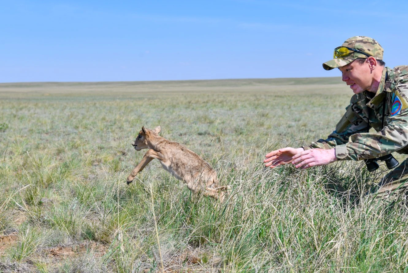 Тапталған егініміздің себепкері