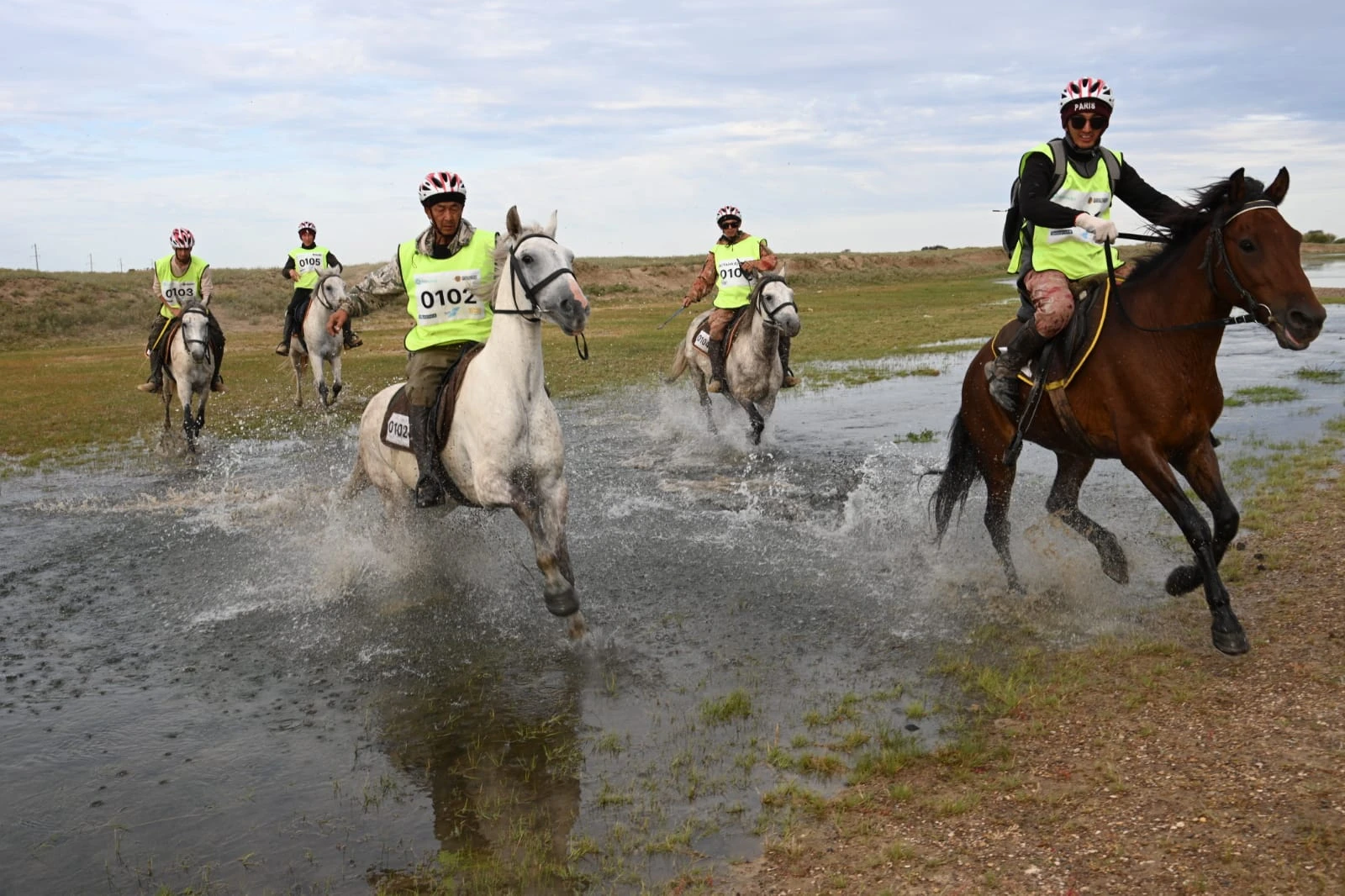 «Ұлы дала жорығына» тың аттар қосылды