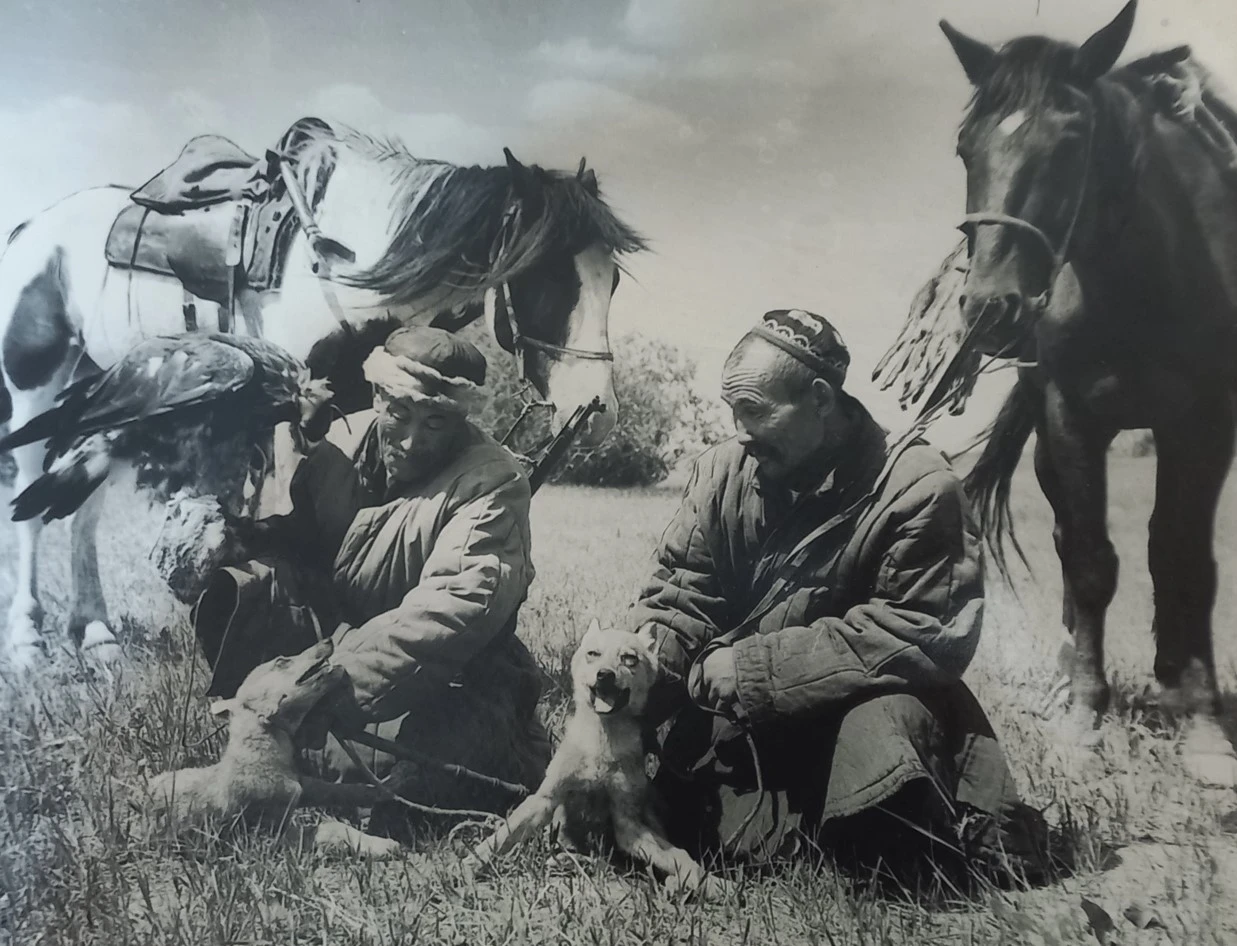 Аңшылық өнердің ақиығы