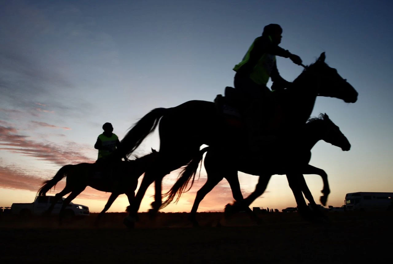 «Ұлы дала жорығы»: Жамбыл облысының командасы бәйгеден  шығып қалды