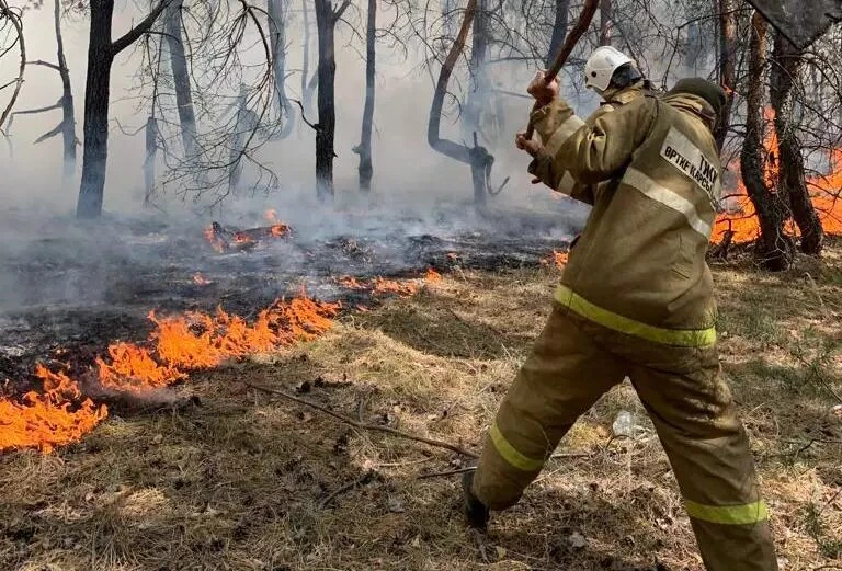 Орман отқа оранбасын деңіз...