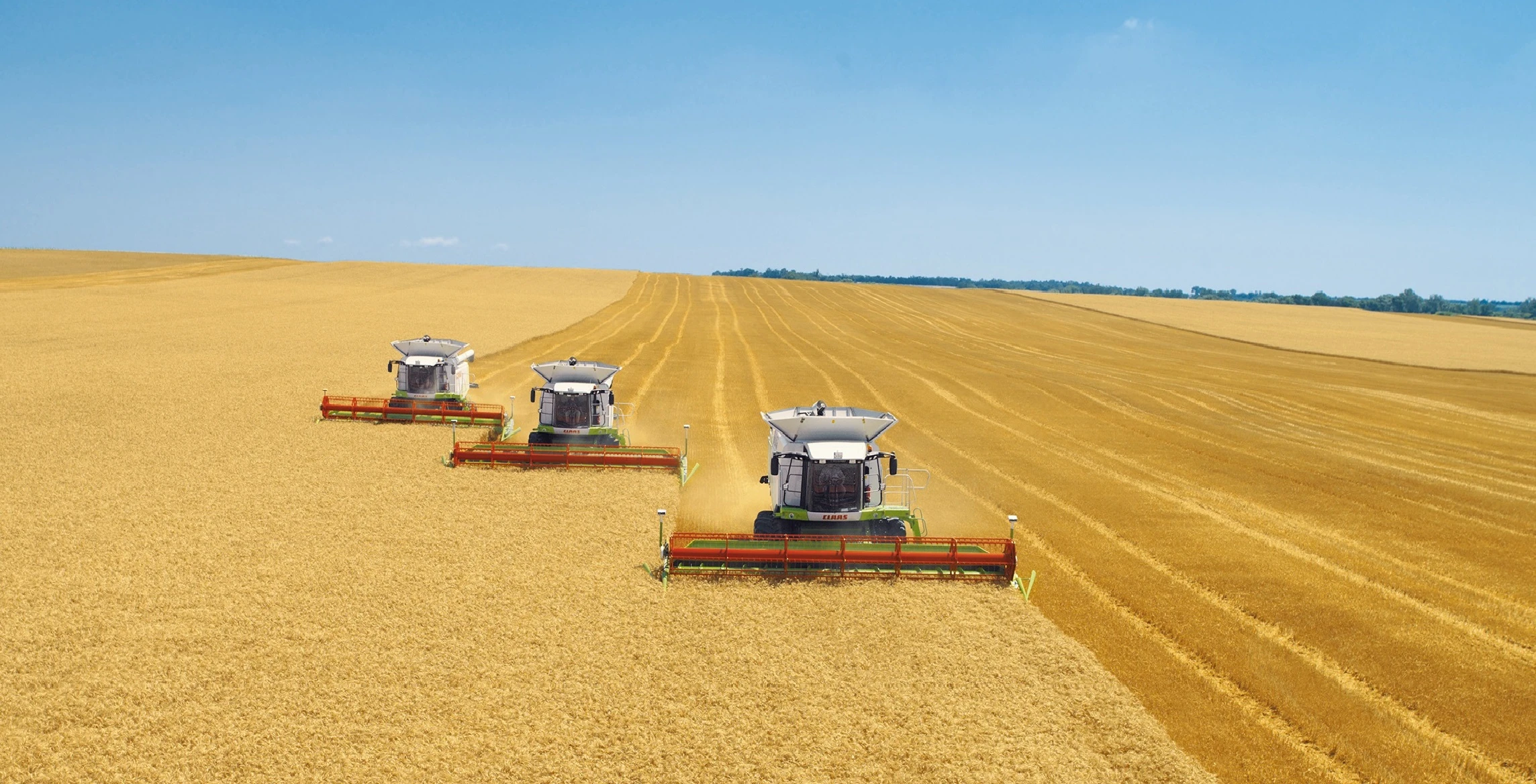 Астық үшін арпалыс