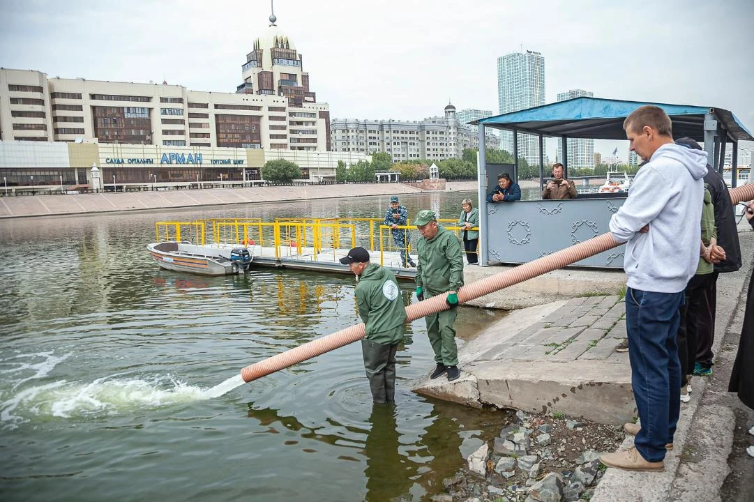 Есілге 300 мың шабақ жіберілді