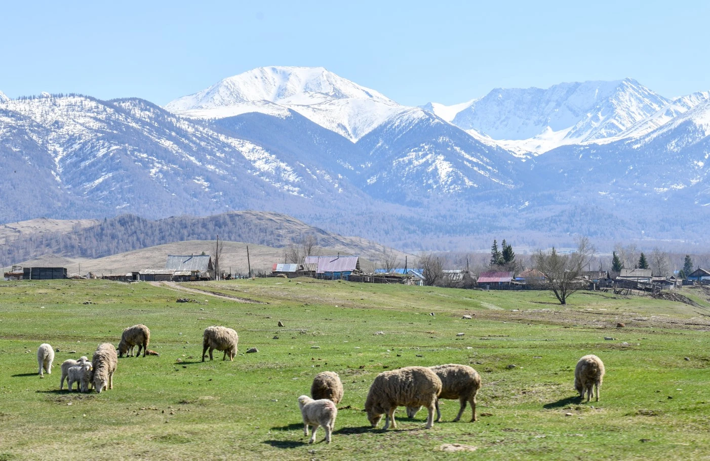 Төрт түлік қамы